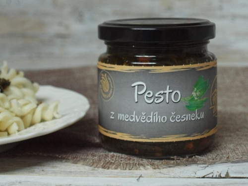 Pesto z medvědího česneku